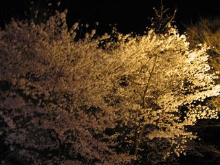 f0065341_0203166.jpg