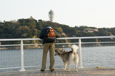 銀ちゃん！今年初の海！の巻_e0143442_2242180.jpg