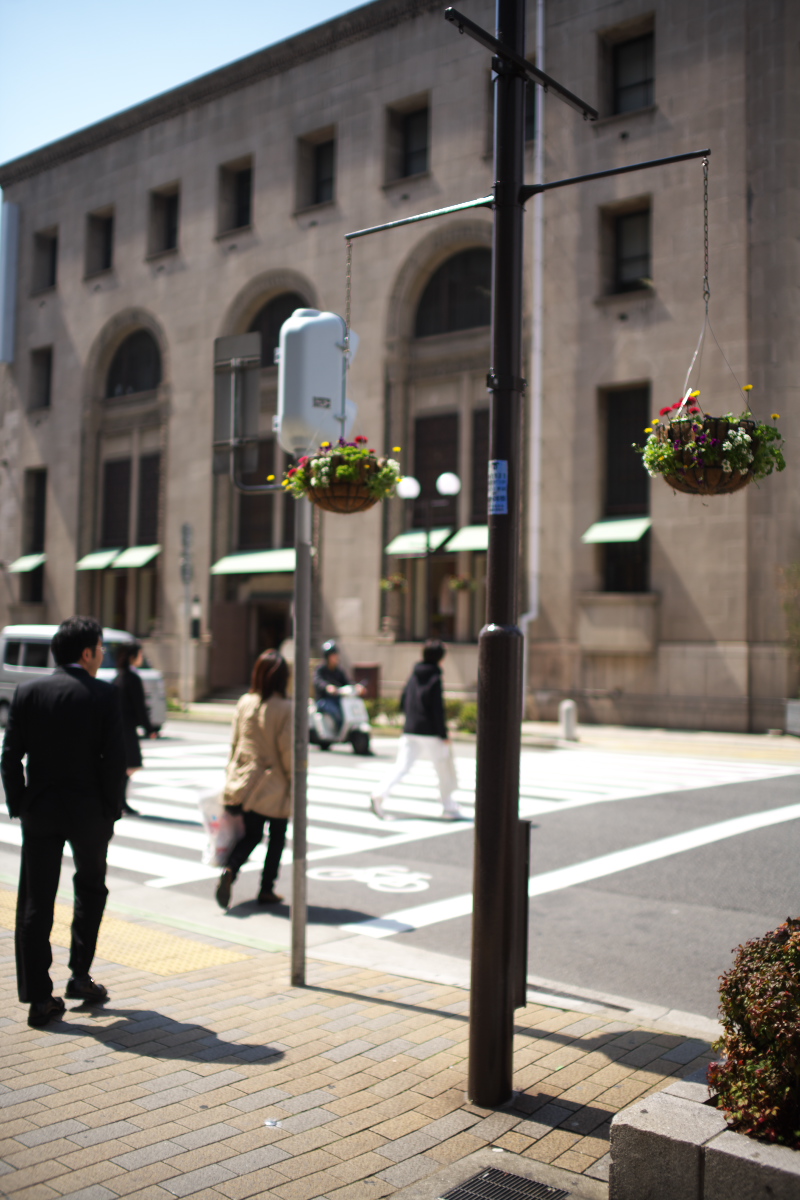 d0001745_437813.jpg