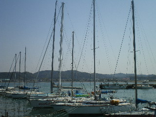 c0118352_7355468.jpg
