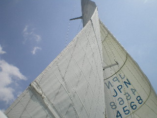 c0118352_7363489.jpg