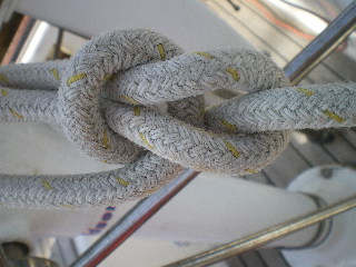 c0118352_7384087.jpg