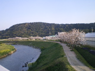 c0118352_8181742.jpg