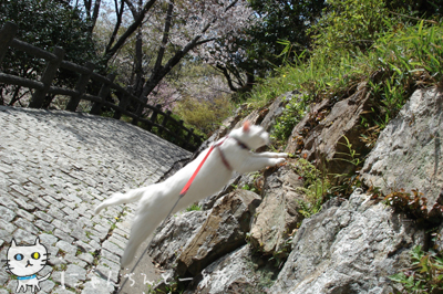 葉桜のお城公園_e0031853_1343472.jpg