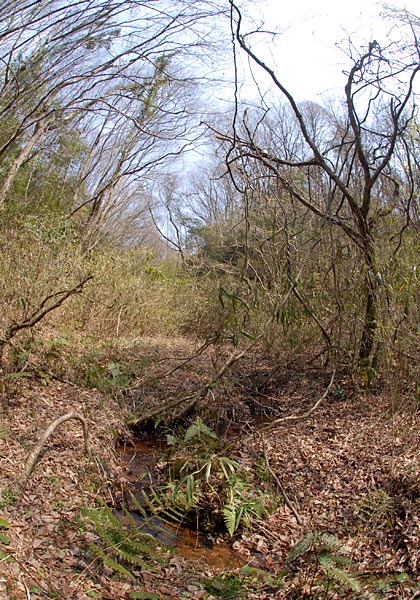 e0035757_1632269.jpg