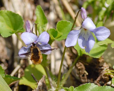 e0035757_1641544.jpg
