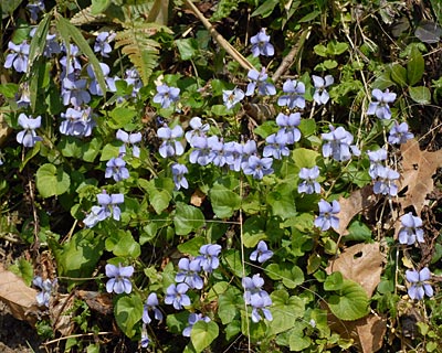 e0035757_164474.jpg