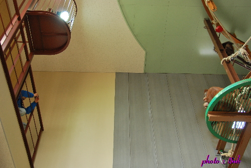 a0105160_233667.jpg