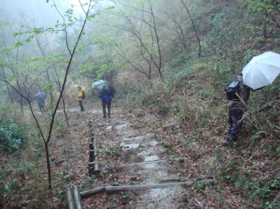 野の花と出会う会「高森山」…雨中登山_c0108460_1821287.jpg