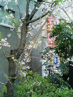 d0052263_063379.jpg