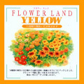 トルマリン花の種まき_d0069964_8543683.jpg