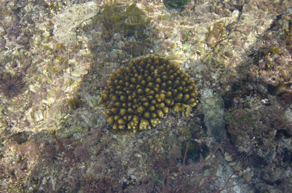ebb tide._c0153966_20444176.jpg