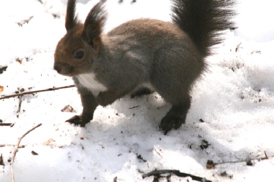 f0000866_72639.jpg