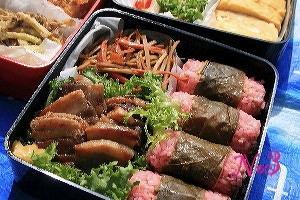 お花見 2008_c0156468_17554010.jpg