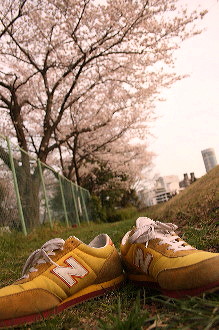 お花見 2008_c0156468_18182586.jpg