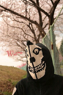 お花見 2008_c0156468_1819582.jpg