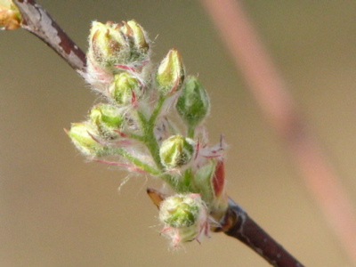 d0050472_18155551.jpg