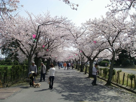 c0035980_72889.jpg