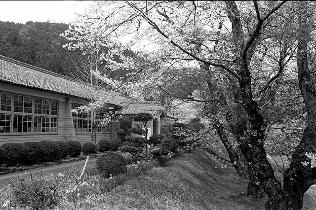d0045383_11565371.jpg