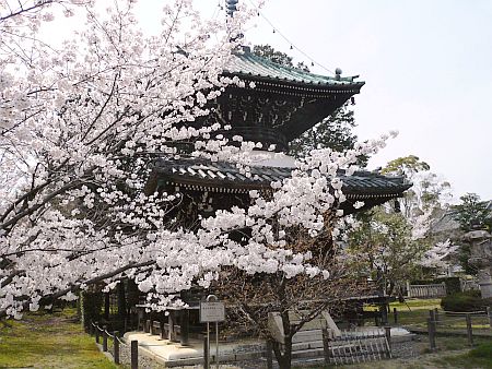 京都・・・花巡り♪_d0078486_3402640.jpg