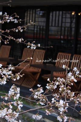 奈良・京都桜旅行『京都 祇園白川編』_d0148187_032442.jpg