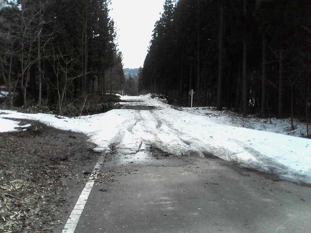 山道はまだ雪に閉ざされて。。。_a0007388_15122622.jpg