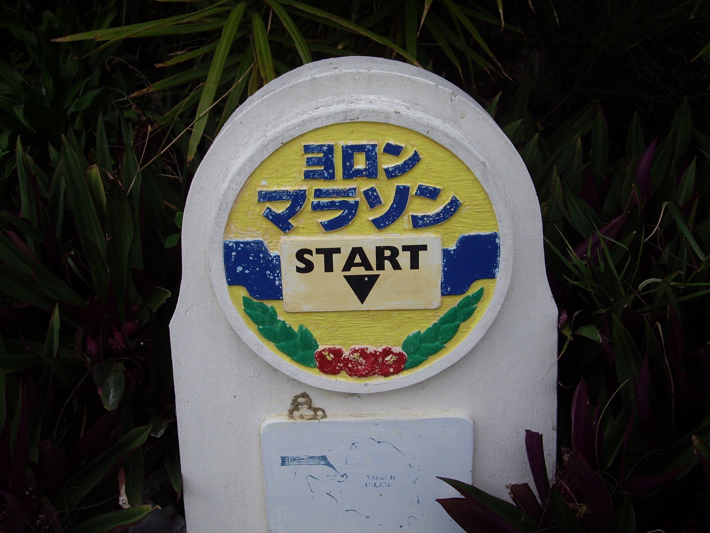 ヨロンマラソン_e0032991_2338493.jpg