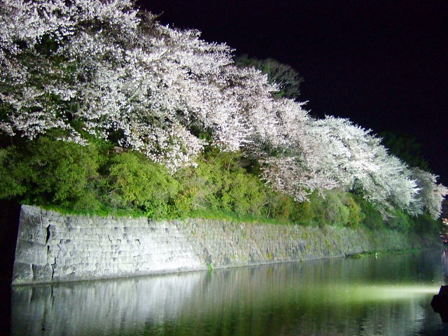 b0104592_15363257.jpg