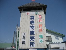c0153892_1440274.jpg