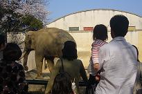 kobe oji zoo_f0158494_21273753.jpg