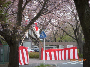 c0149195_21203526.jpg