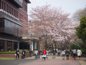 c0149195_21233772.jpg