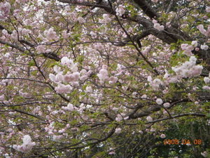 c0149195_2126514.jpg