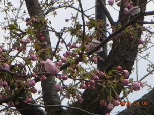 c0149195_21272373.jpg