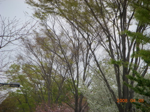 c0149195_21335076.jpg
