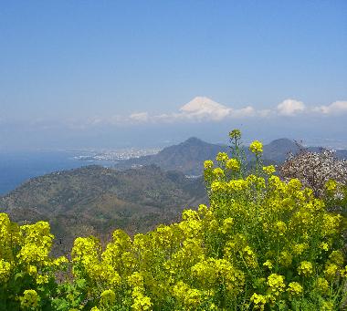 富士山だぁ~_e0077899_95469.jpg