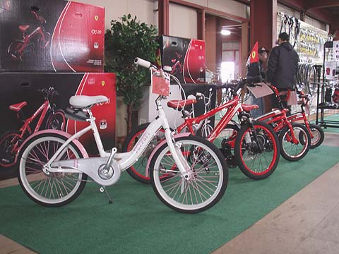 展示会目白押し_e0126901_2242295.jpg