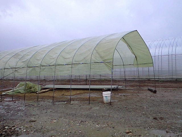 d0099708_14411531.jpg