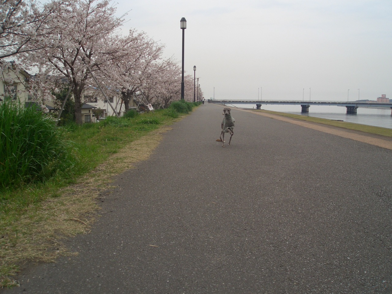 e0141909_203625.jpg
