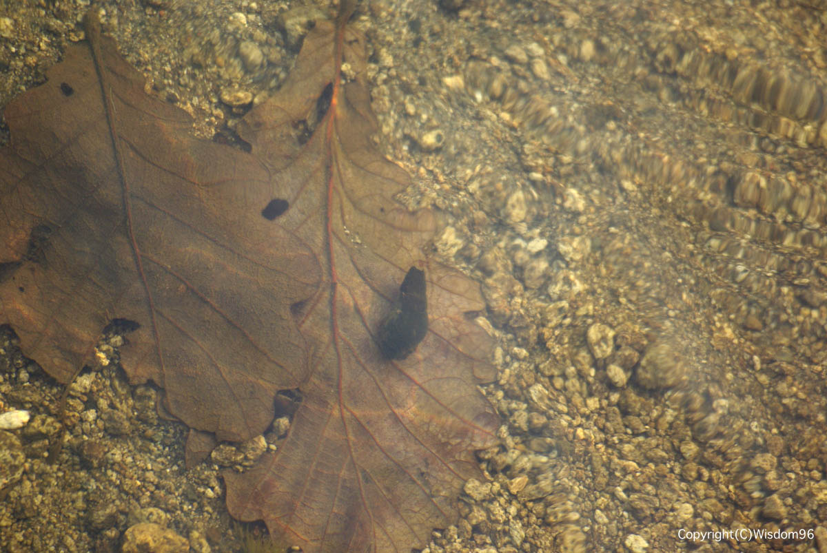 e0142611_1248059.jpg