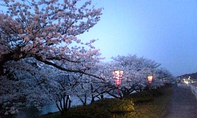 夜桜にはちょっと早い？_f0017712_21434373.jpg