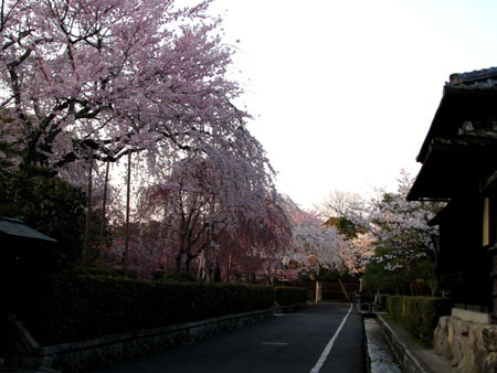 南禅寺あたり_e0048413_213247100.jpg
