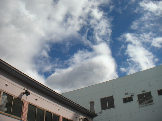 嵐の後_b0093221_1944063.jpg