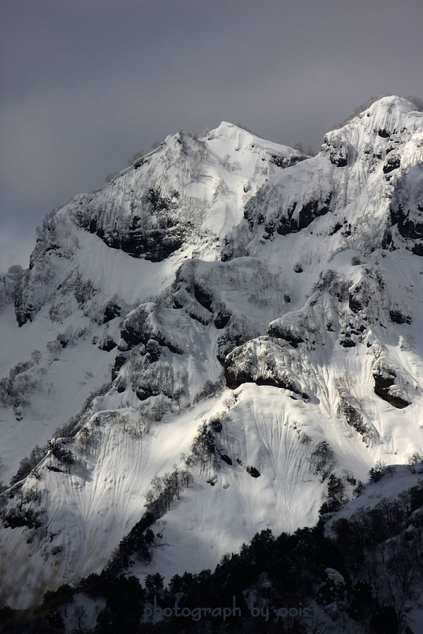 e0123723_1126890.jpg