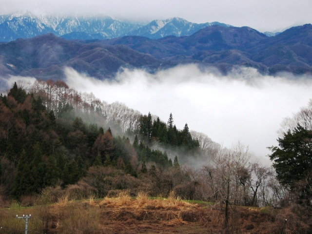 雨上がりの風景_f0013323_1240765.jpg