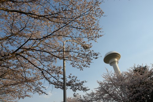 a0019224_12906.jpg