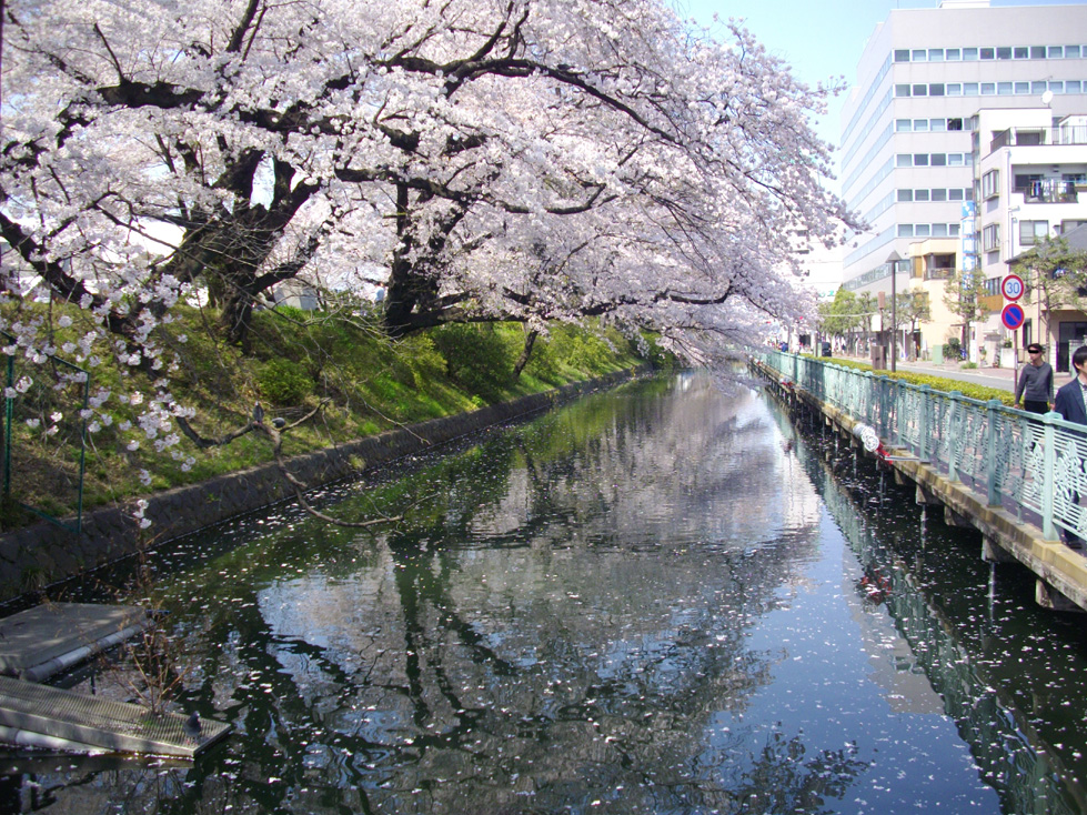 オフ回 in 群馬_c0078525_10375828.jpg