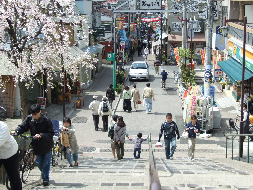 「日暮里 谷中散歩とお惣菜いちふじランチ」_a0000029_13451949.jpg