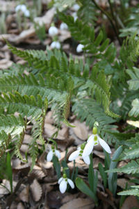 f0002534_20633100.jpg