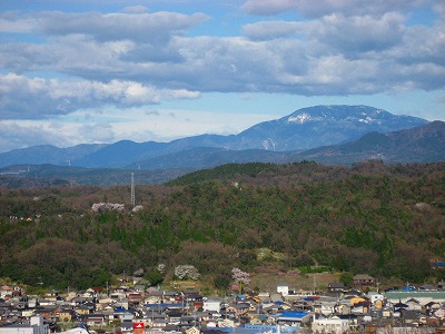 桜と緑と山と・・・_f0076739_21264781.jpg